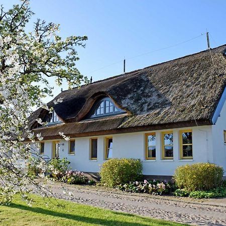 Ferienwohnungen Im Fischerdorf Und Neu Reddevitz Exteriör bild