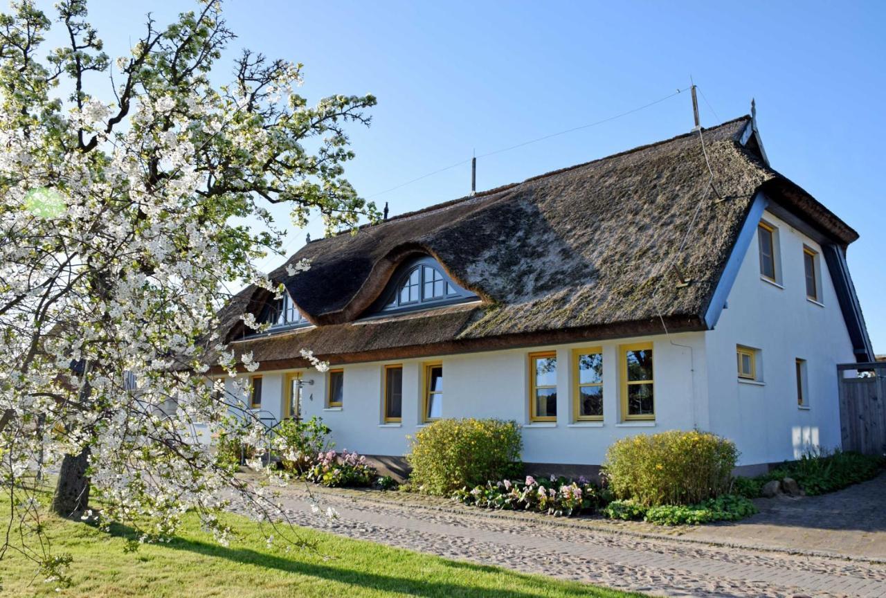 Ferienwohnungen Im Fischerdorf Und Neu Reddevitz Exteriör bild
