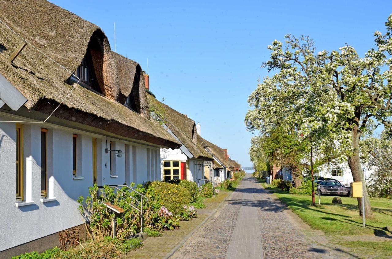 Ferienwohnungen Im Fischerdorf Und Neu Reddevitz Exteriör bild