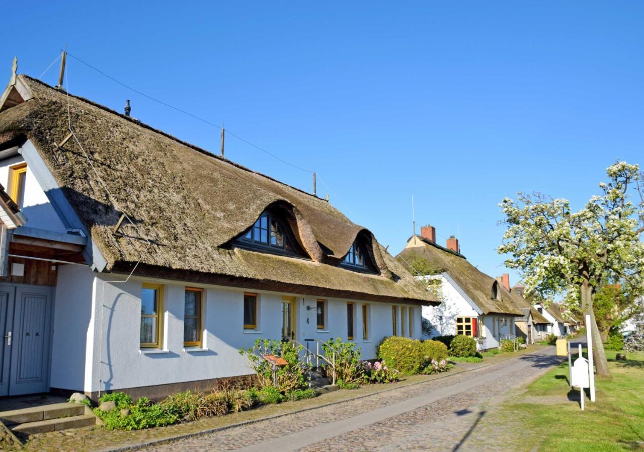 Ferienwohnungen Im Fischerdorf Und Neu Reddevitz Exteriör bild